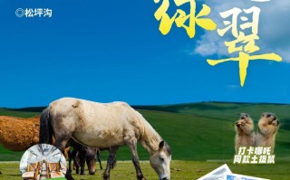 三日游，九曲黄河第一湾+花湖+松坪沟，无边绿翠，成都到若尔盖花湖旅游团