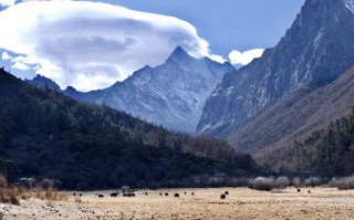 金钟山简介，金钟山旅游攻略