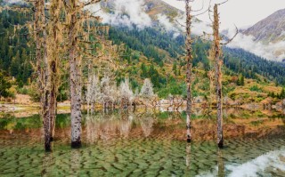 二日游，毕棚沟+四姑娘山2-8人纯玩小团，开心满格，成都到四姑娘山旅游团