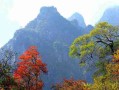 河南旅游十大景区排行榜前十名，本地人看了都想吐槽？