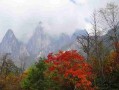 湖南宜章县十大必去景区，更后一个本地人都不一定去过