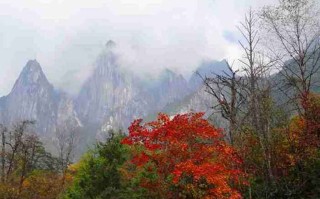 蒙顶山简介
