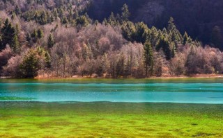 重庆十大景区排名，本地人看了想打人，但我还是忍不住写了