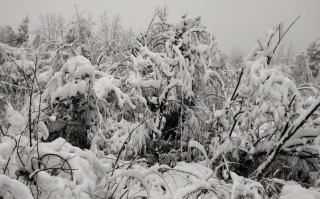 瓦屋山简介，瓦屋山旅游攻略