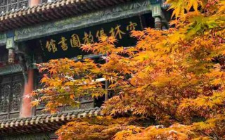 中国观音故里简介，中国观音故里旅游攻略