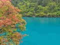 六日游，四川亲子营，梦回锦官城—全家总动员，九寨沟，熊猫基地，三星堆，东郊记忆，都江堰，爱情海，镰刀坝大草原，南桥，仰天窝，宽窄巷子，梦回青城