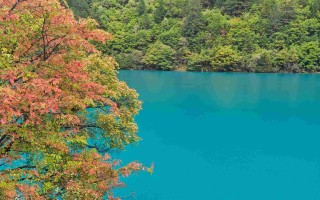 六日游，四川亲子营，梦回锦官城—全家总动员，九寨沟，熊猫基地，三星堆，东郊记忆，都江堰，爱情海，镰刀坝大草原，南桥，仰天窝，宽窄巷子，梦回青城
