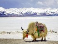三门免费十大旅游景区，去了不想回？收藏好这篇，周末就能走起！