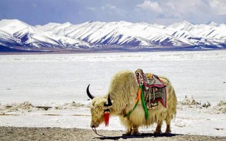 兴义，一个被严重低估的宝藏旅行地！这10个景点你去过几个？