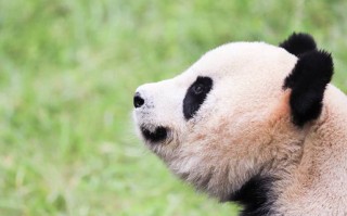 别急着去张家界！这个湖南小城郴州，藏着十个神仙地方