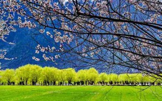 黑龙江有雪乡？吉林市这10个地方才是真正的冰雪秘境！