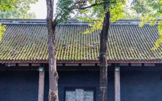 贵州十大王牌景区排名，第一名还能再火点吗？