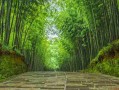 山西十大景区，我去过八个，更后一个让我直呼后悔没早去