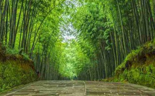 月亮湖简介，月亮湖旅游攻略