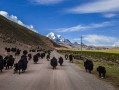 石首十大旅游景区排名，我走过的才算数