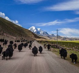 乐山不是山，但这里有一片海，来了一次就想赖着不走