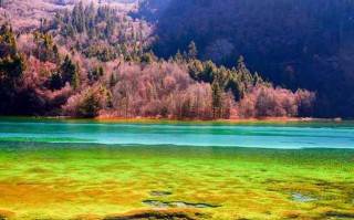 新疆十大旅游景区排名榜，去过5个算你牛！