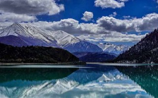 邓玛湿地公园简介，邓玛湿地公园旅游攻略