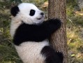 对不起，我要说实话！所谓的十大旅游风景区其实…