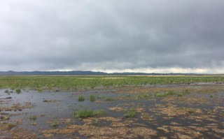 二日游，生如夏花·若尔盖花湖九曲红原| 全程0购物0自费·赠送游牧体验，成都到花湖旅游团