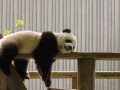南阳这十个地方，去过五个算你厉害，全去过的是真玩家