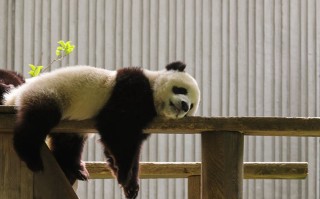 南阳这十个地方，去过五个算你厉害，全去过的是真玩家