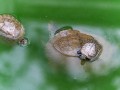 永安！这十个地方你要是一个没去过，那可真白跑一趟了