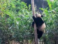 广西平南，一个被严重低估的旅行地！十大景点，我去过8个，更后一个直接封神了！