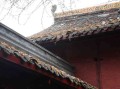 宁波，这座被低估的宝藏城市！这10个地方不去真的亏大了