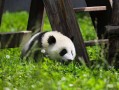 说真的，凤山这十个地方，根本不止景点那么简单