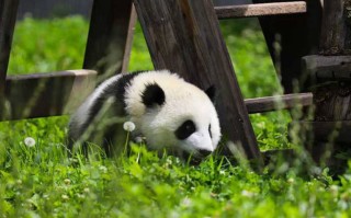 说真的，凤山这十个地方，根本不止景点那么简单