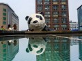 在乐山淋了一场雨，才懂什么叫佛系