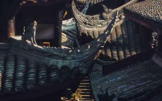 真香警告！盐池县滩羊十大旅游景区，看完就想订票