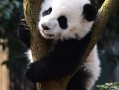 四川这10个红色景点，不去一次真亏了，更后一个我直接泪目