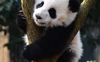 四川这10个红色景点，不去一次真亏了，更后一个我直接泪目