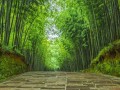 凤山县十大旅游风景区，这些地方绝对不容错过！