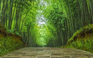 永胜县更美十大旅游景区，更后一个连本地人都未必去过