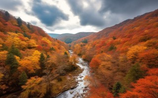 光雾山简介