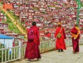 四川那些5A景区，我去过8个，有3个真不建议凑热闹