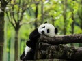 上林县十大风景区？别信排名，这5个地方值得去
