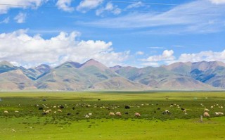 洛南县十大旅游景区，第一名竟然是它？很多本地人都没去过