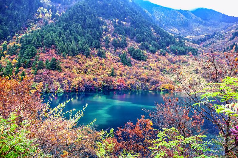 九寨沟景区简介-第1张图片-四川省中国青年旅行社 九寨沟景区简介-第1张图片-四川省中国青年旅行社