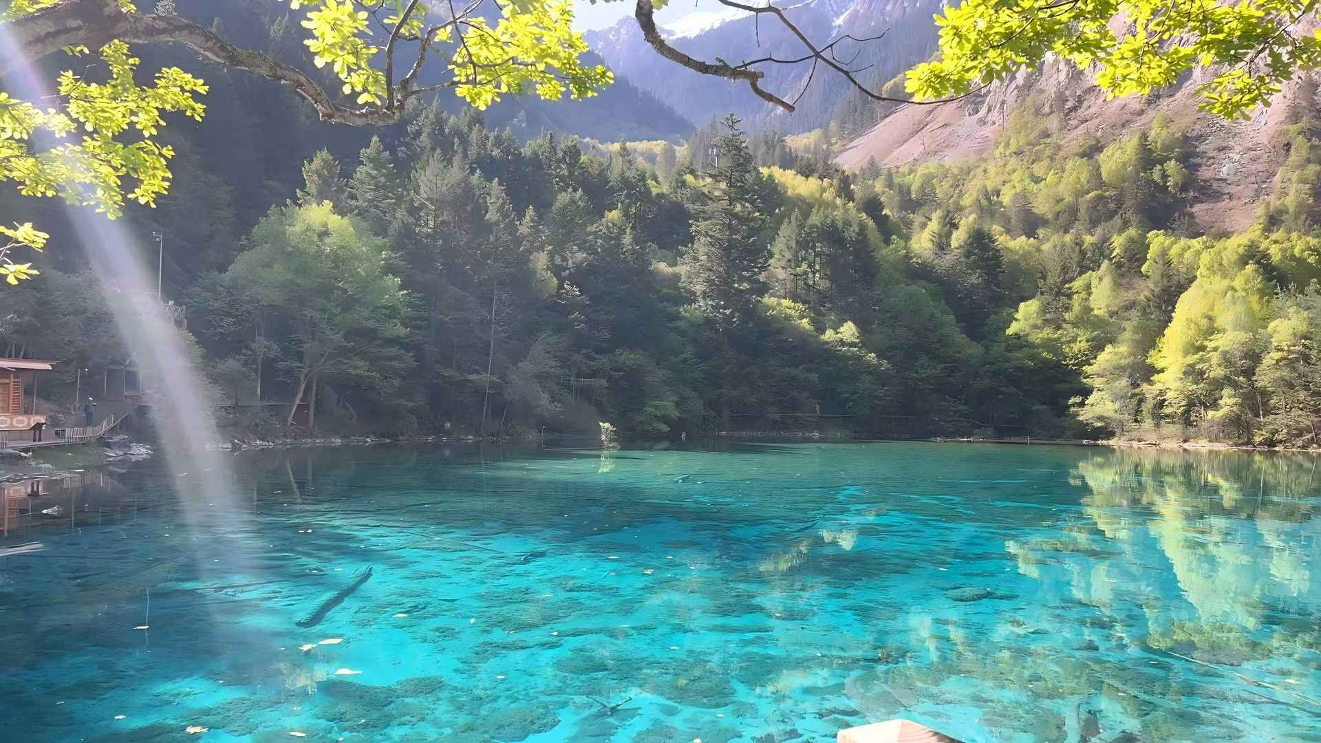 九寨沟图片,九寨沟风景图片-第4张图片-四川省中国青年旅行社 九寨沟图片,九寨沟风景图片-第4张图片-四川省中国青年旅行社
