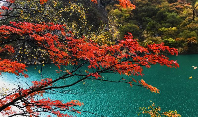 松坪沟简介,松坪沟旅游攻略-第6张图片-四川省中国青年旅行社 松坪沟简介,松坪沟旅游攻略-第6张图片-四川省中国青年旅行社