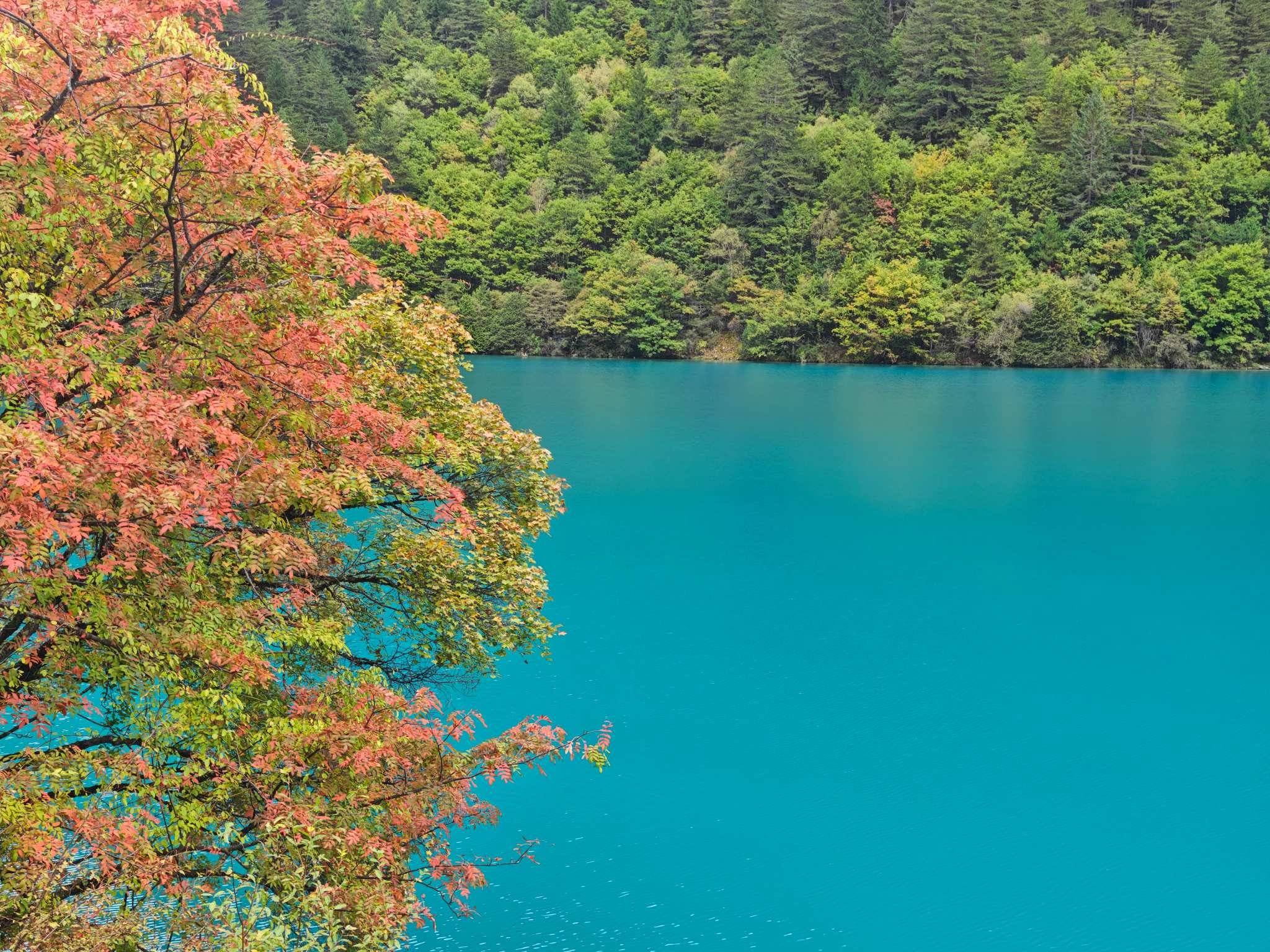 2026盛夏四川文旅热度持续攀升 多元特色玩法点亮暑期出游季-第2张图片-四川省中国青年旅行社