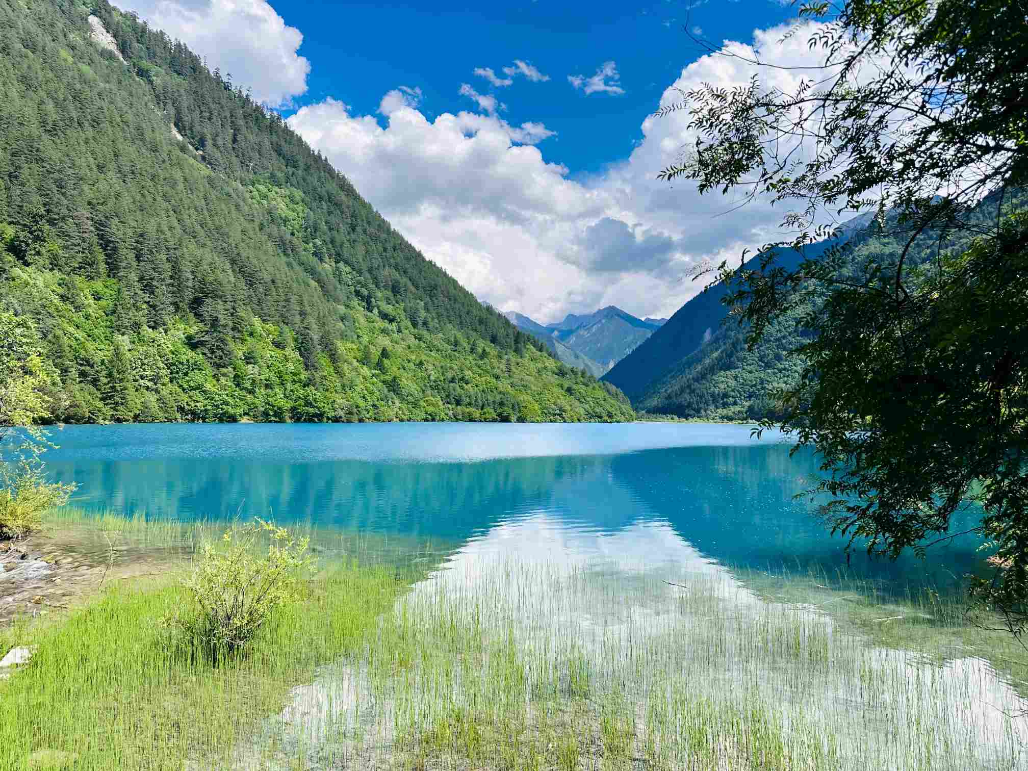 暑期重磅福利|2026年7月29日九寨沟景区免门票、免观光车,全民免费畅游-第2张图片-四川省中国青年旅行社 暑期重磅福利|2026年7月29日九寨沟景区免门票、免观光车,全民免费畅游-第2张图片-四川省中国青年旅行社
